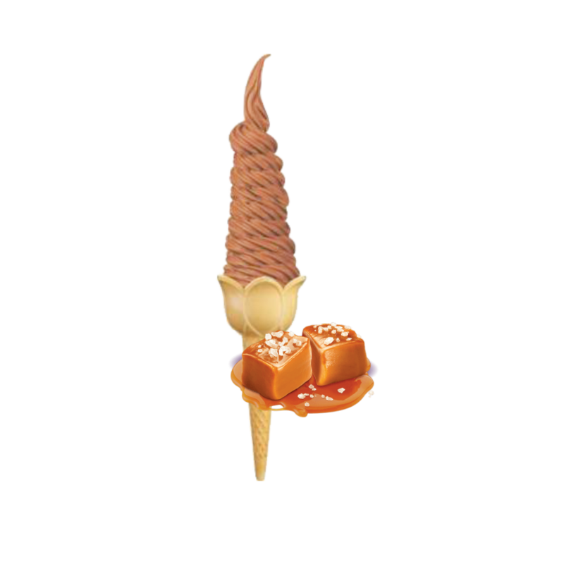 LODY ŚWIDERKI SŁONY KARMEL 10 kg LODY ŚWIDERKI SŁONY KARMEL 10 kg