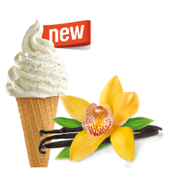 Lody włoskie waniliowe z ziarnami wanilii 10 kg