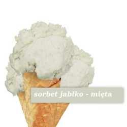 Lody rzemieślnicze - Sorbet...