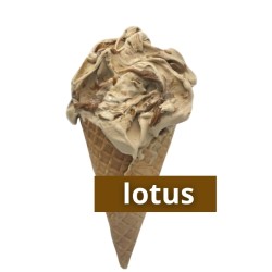 LODY RZEMIEŚLNICZE - LOTUS