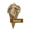LODY RZEMIEŚLNICZE - LOTUS
