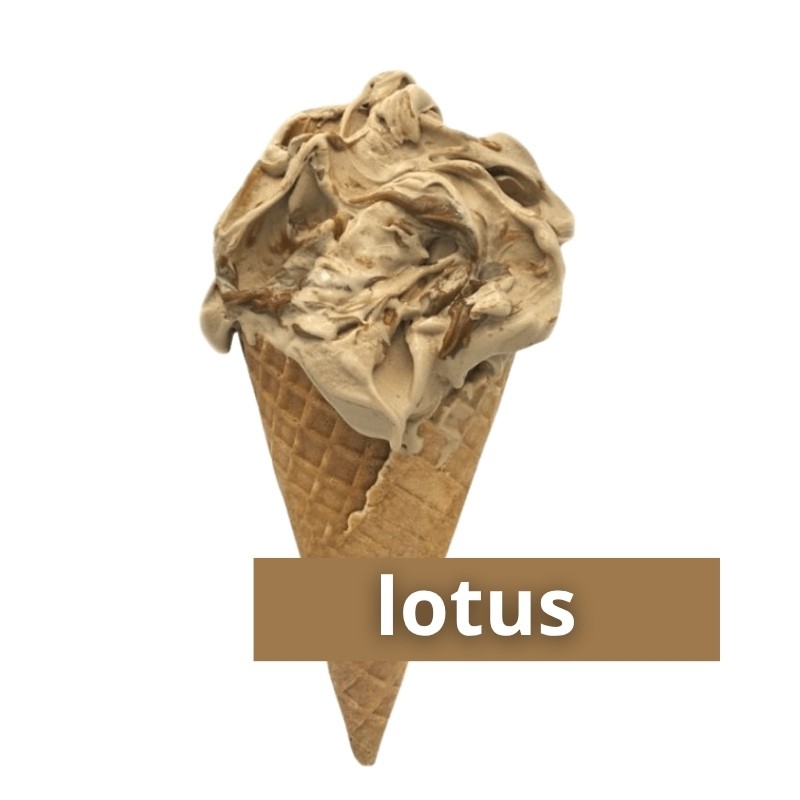 LODY RZEMIEŚLNICZE - LOTUS
