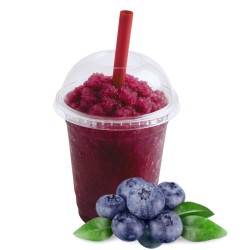 GRANITA JAGODOWA 5kg
