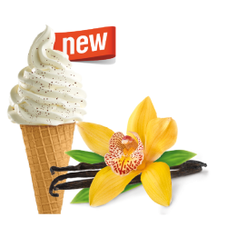 Lody włoskie waniliowe z ziarnami wanilii 10 kg
