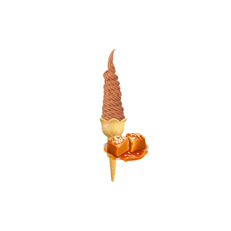 Lody Świderki Słony Karmel 10 kg