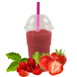 Granita Poziomkowo- Truskawkowa 5 kg