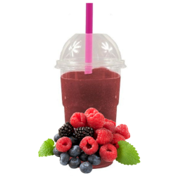 Granita owoce leśne 5 kg