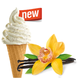 Lody włoskie waniliowe z ziarnami wanilii 10 kg