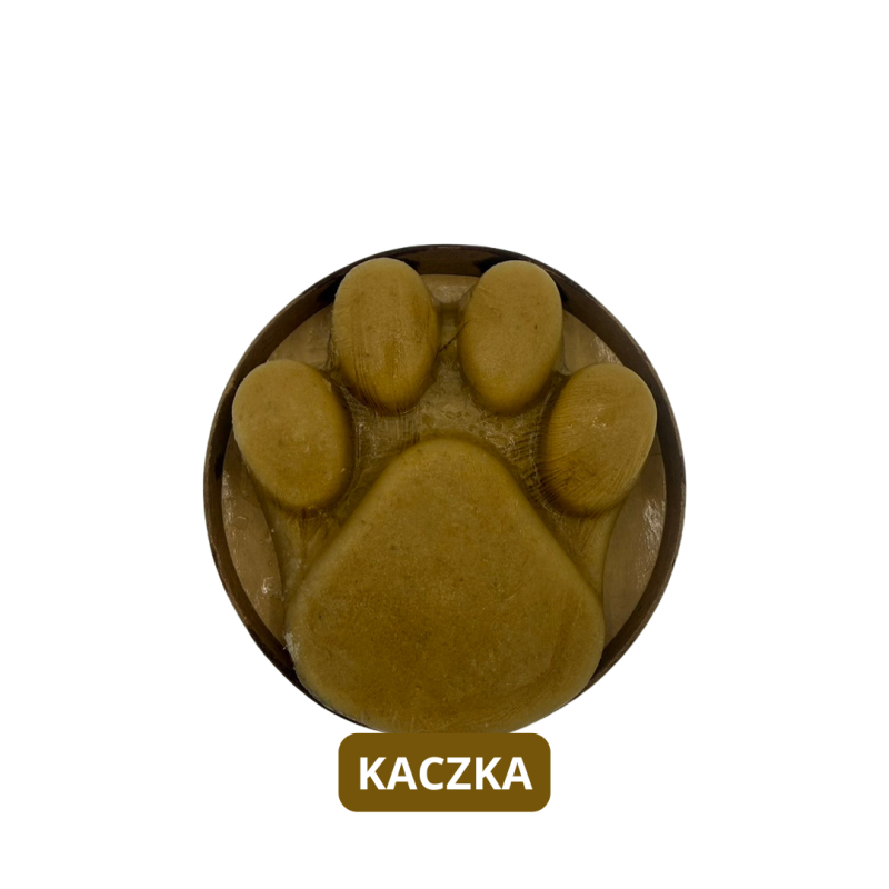 LODY ŁAPSIAKI - KACZKA